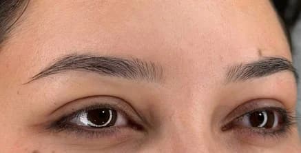 Sourcils — avant